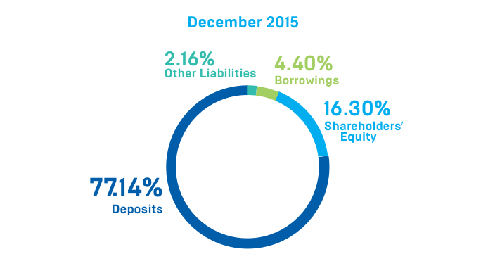 Liabilities Mix Dec 15