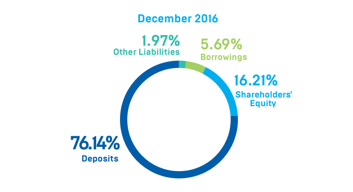Liabilities Mix Dec 16