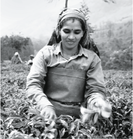 background-header-woman